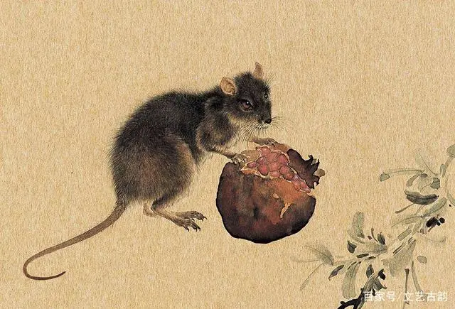 在传统文化的12生肖中，“鼠”可能是最不起眼的一位了